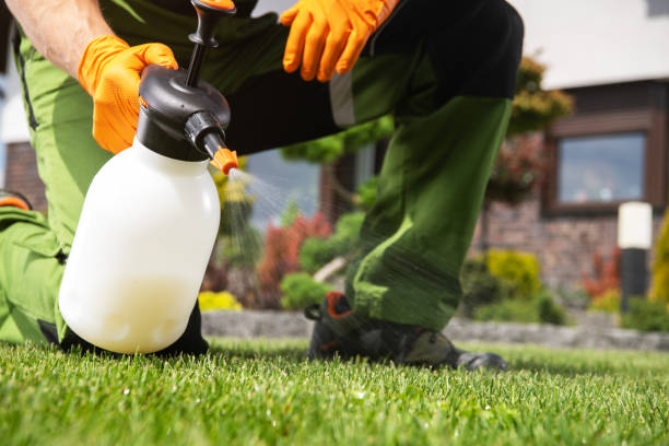Pest Prevention Services in Jonesville, MI