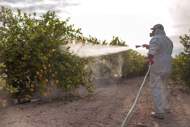 Best Wasp Removal Services  in Jonesville, MI