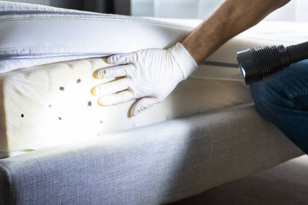 Best Ant Control Services  in Jonesville, MI