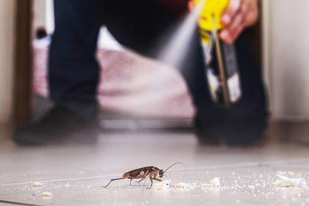 Best Pest Control Near Me in Jonesville, MI