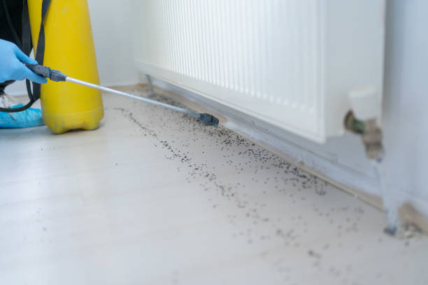 Best Residential Pest Control  in Jonesville, MI