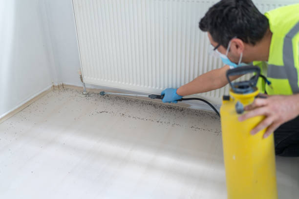Best Exterminator Services  in Jonesville, MI